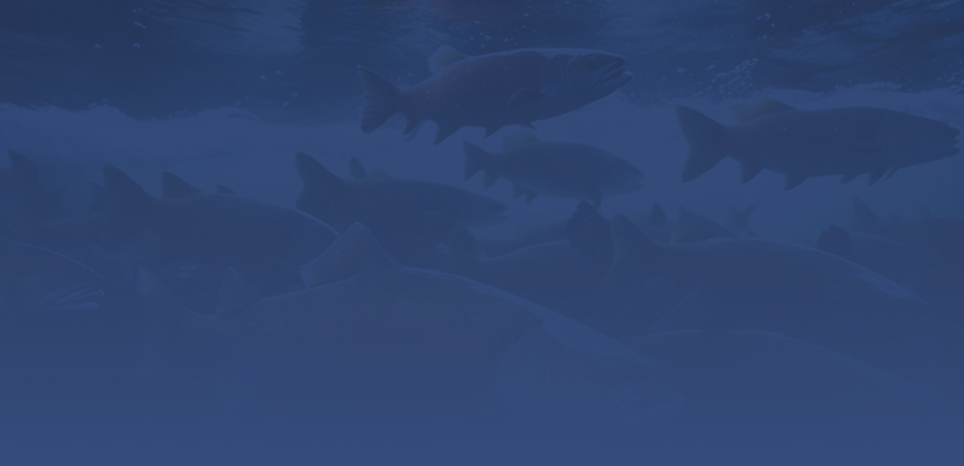 Forfait de pêche au flétan — Coastwide Sports Fishing – Coastwide Sports Fishing